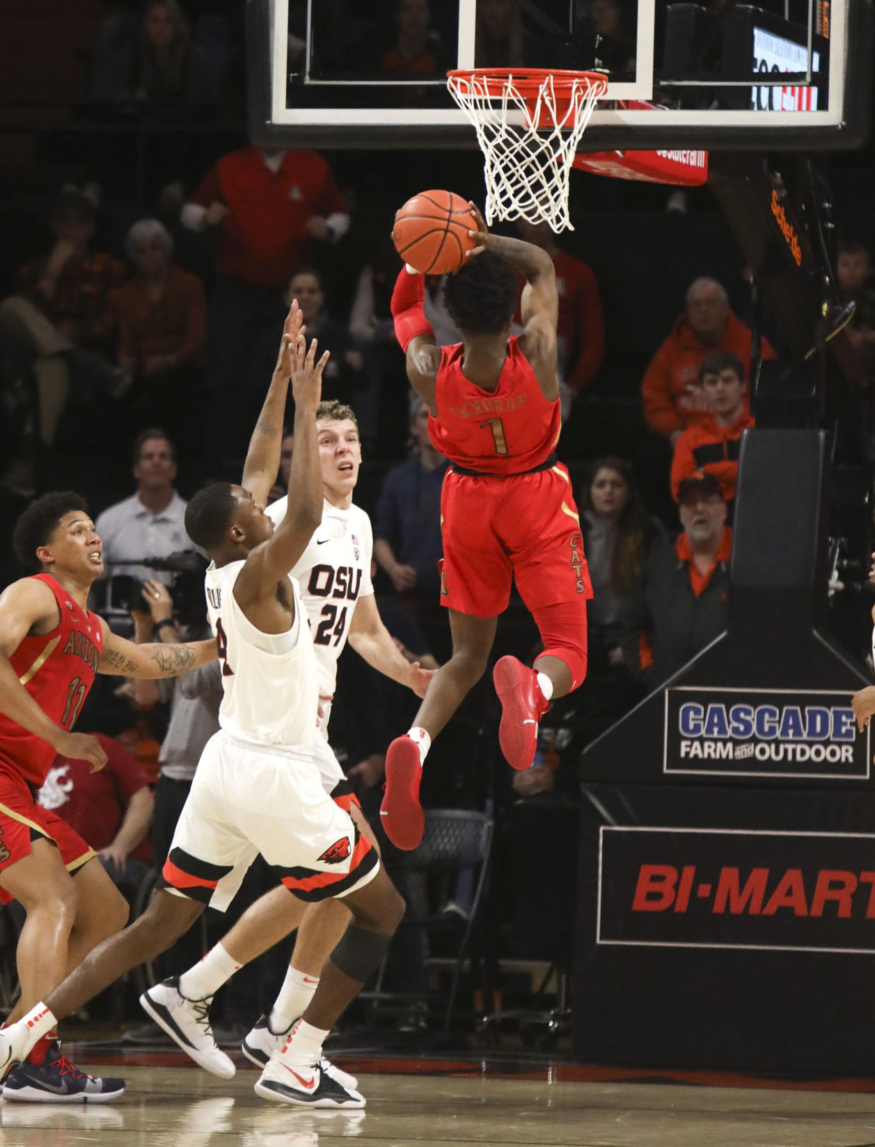 Arizona Oregon St Basketball